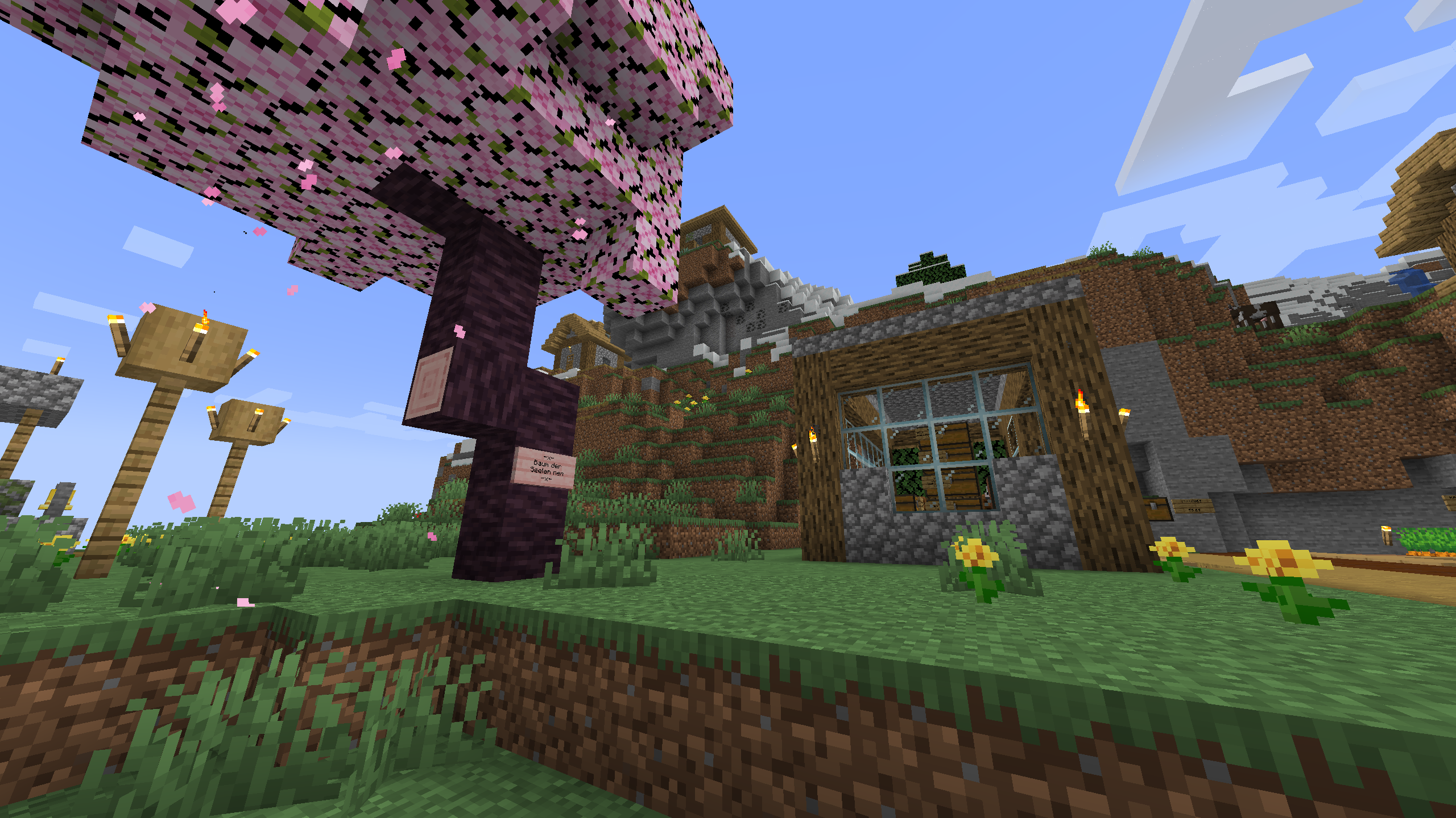 Minecraft Server Screenshot 1